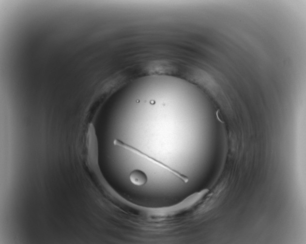 X0000088720357200706071624