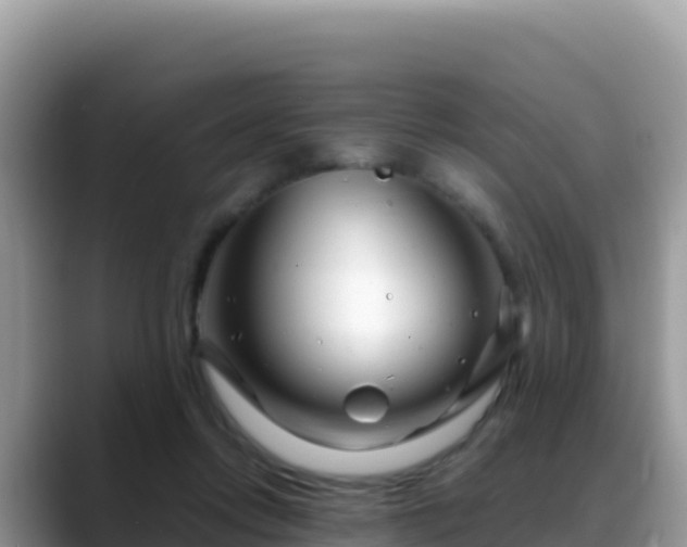 X0000088720358200706071624