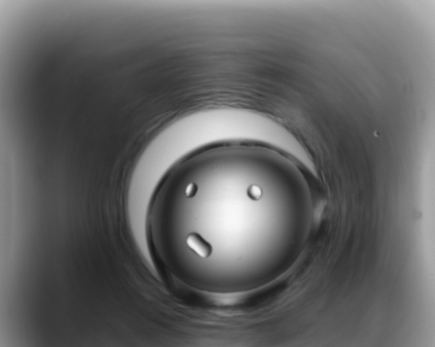X0000088720360200706071624