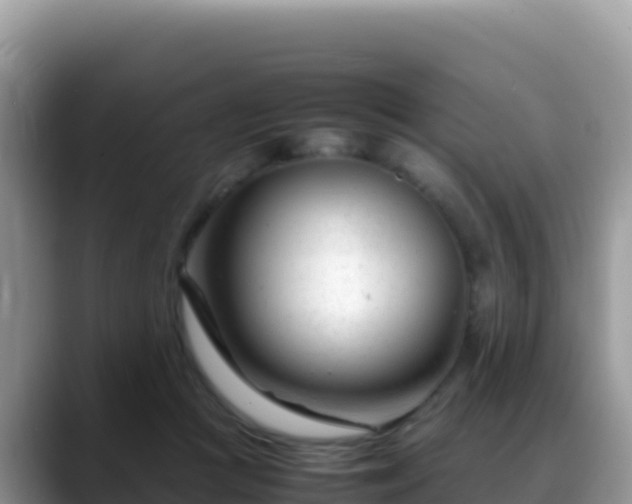 X0000088720361200706071624