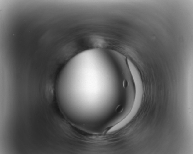 X0000088720363200706071624