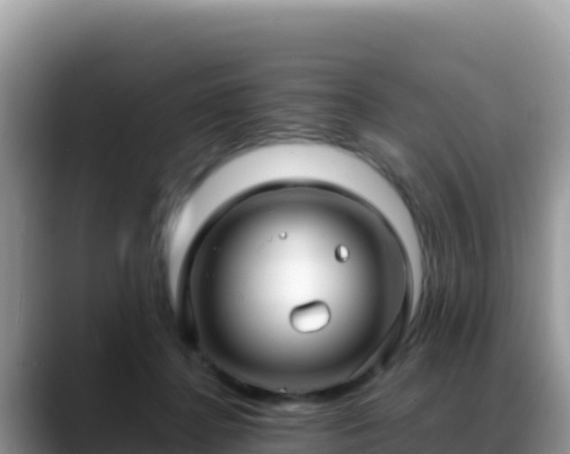 X0000088720364200706071624