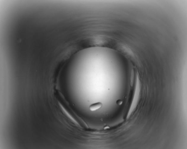 X0000088720366200706071624