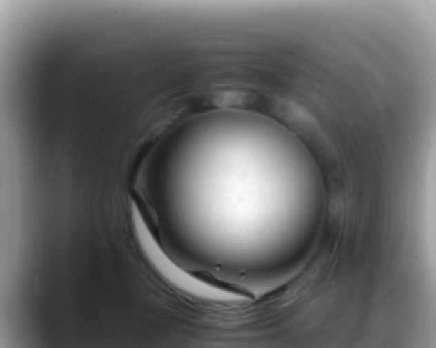 X0000088720367200706071624