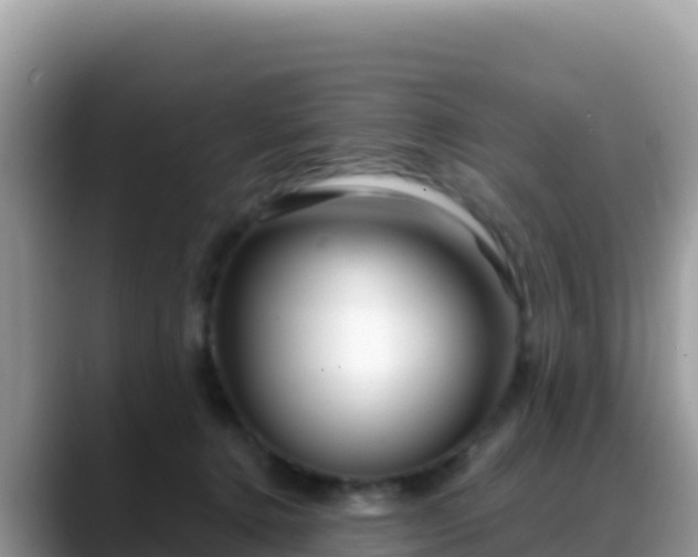 X0000088720368200706071624