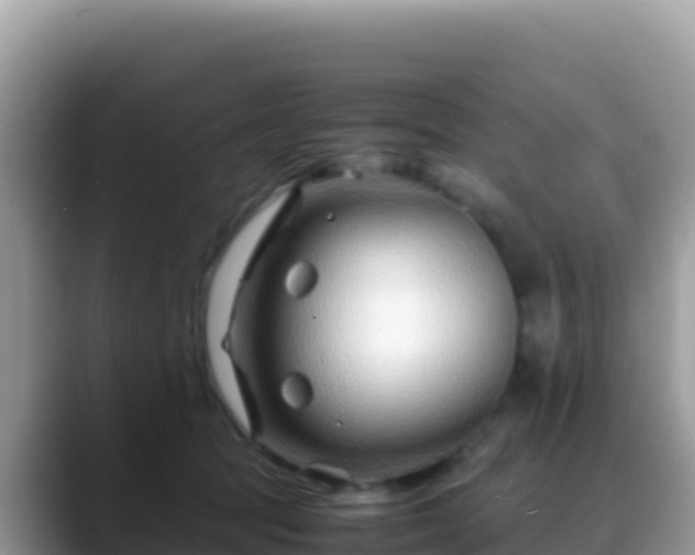 X0000088720369200706071624