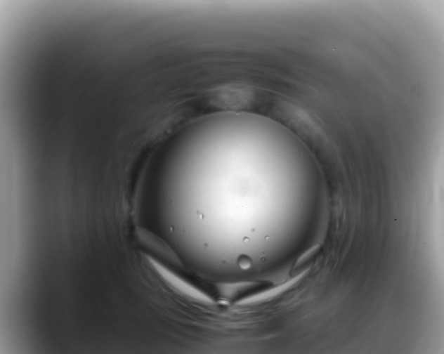X0000088720371200706071624