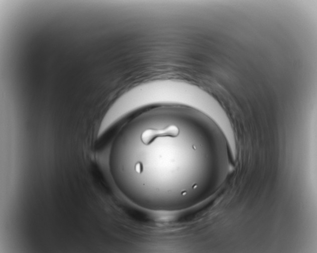 X0000088720372200706071624