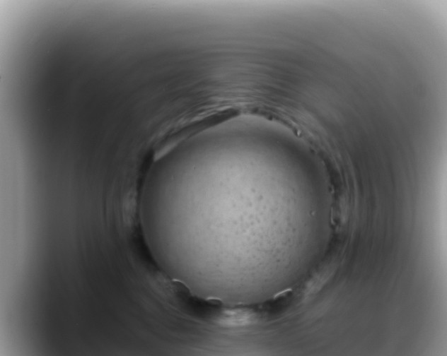 X0000088720376200706071624