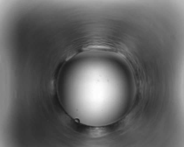 X0000088720378200706071625