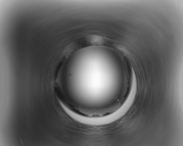 X0000088720379200706071625