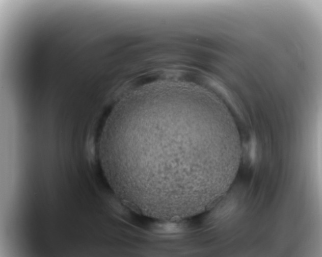 X0000088720381200706071625