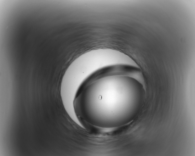 X0000088720384200706071625