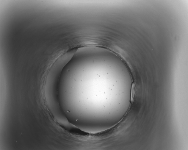 X0000088720385200706071624