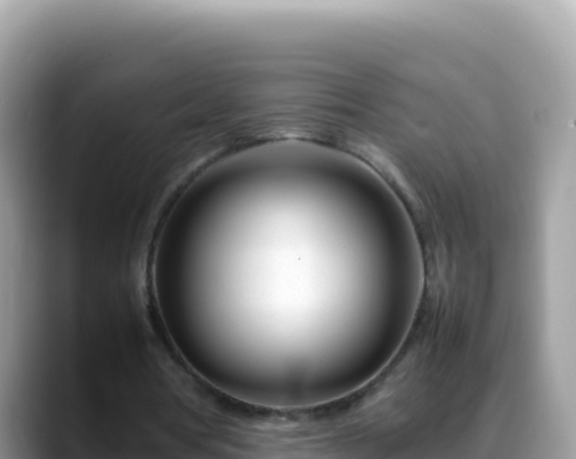 X0000088720386200706071624