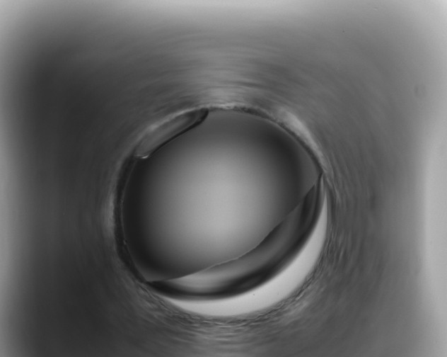 X0000088720387200706071624