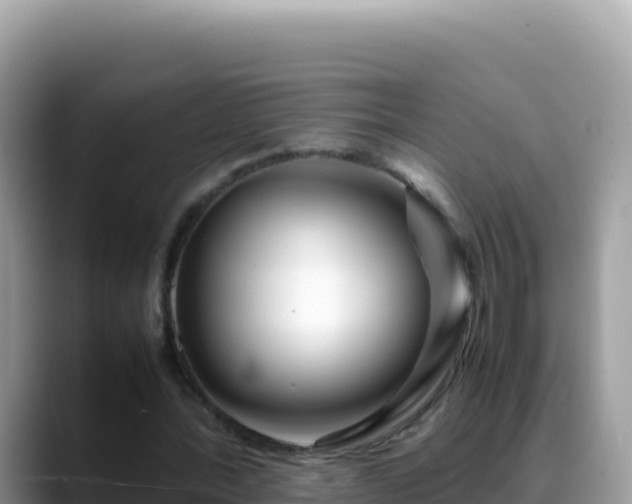 X0000088720388200706071624
