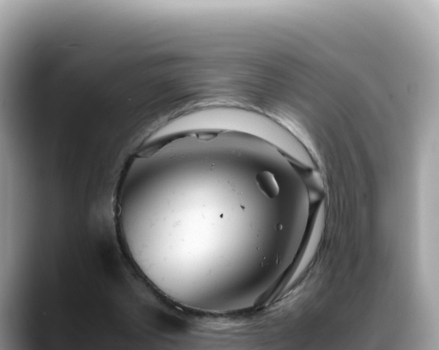 X0000088720389200706071624