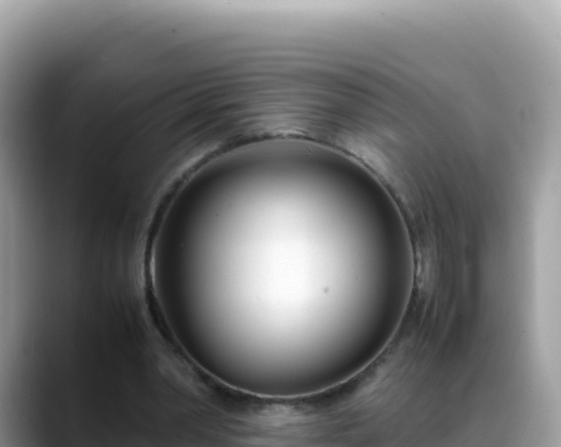 X0000088720390200706071624