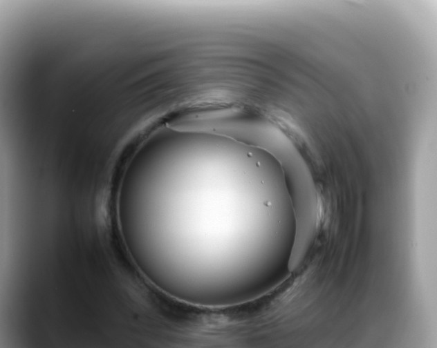 X0000088720392200706071624
