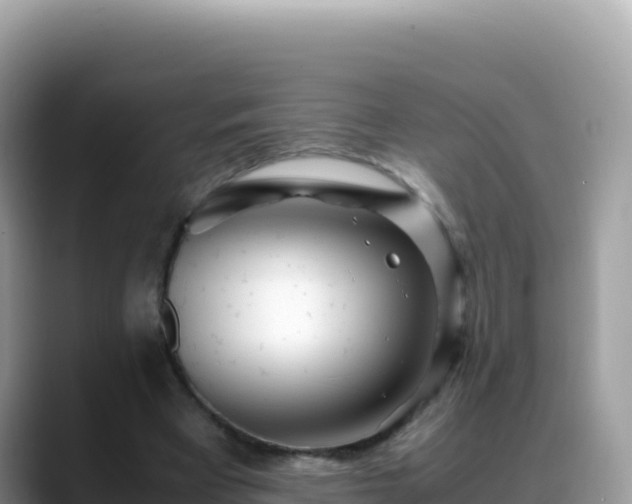 X0000088720393200706071624