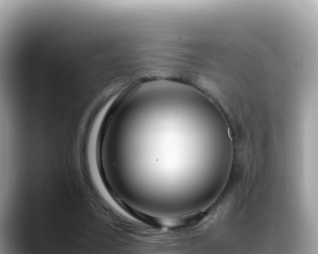 X0000088720395200706071624
