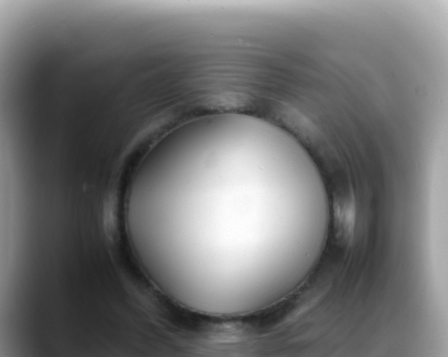 X0000088720396200706071624