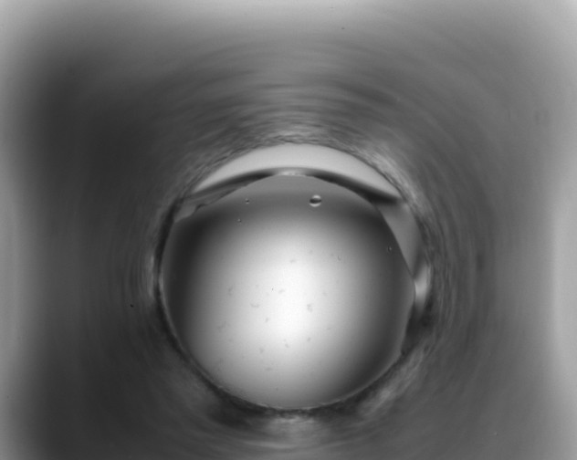 X0000088720397200706071624