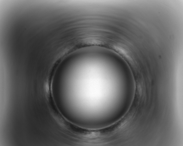 X0000088720398200706071624
