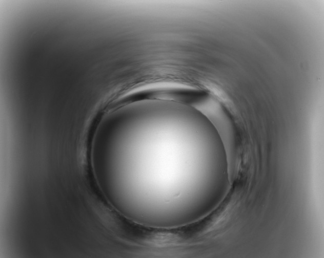 X0000088720399200706071624