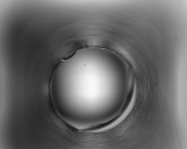 X0000088720401200706071624