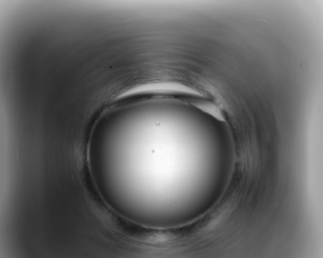X0000088720402200706071624