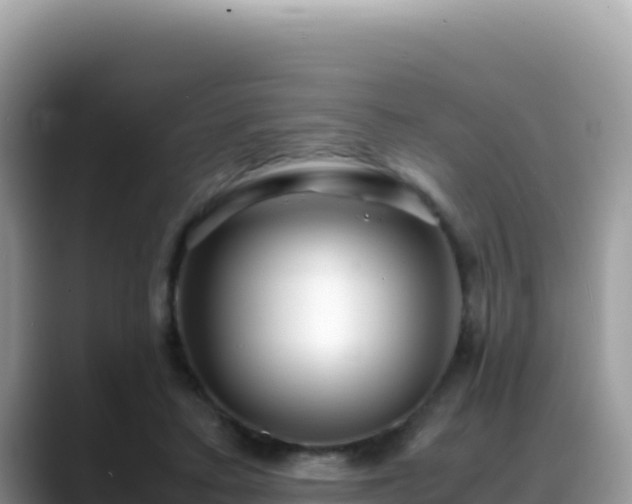 X0000088720403200706071624