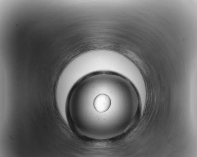X0000088720405200706071624