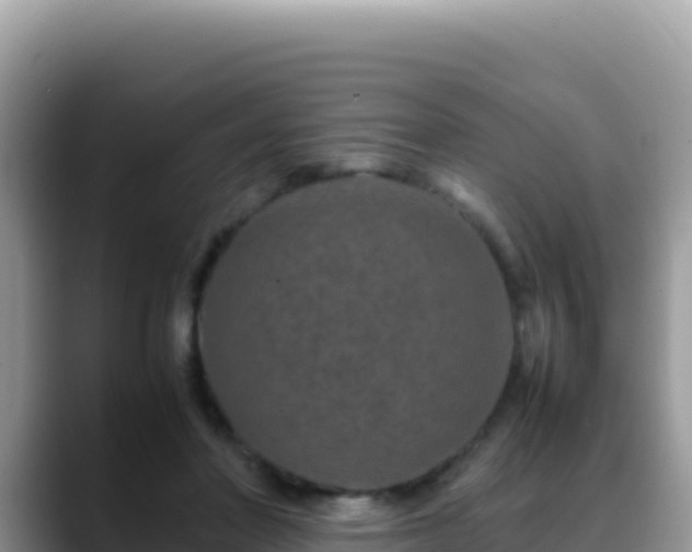 X0000088720406200706071624