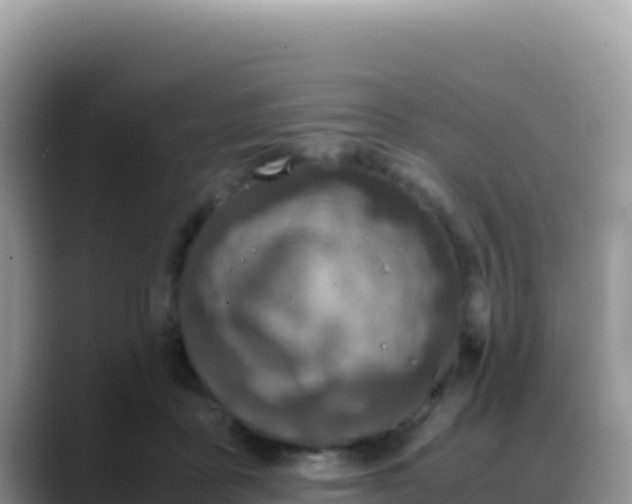 X0000088720411200706071624