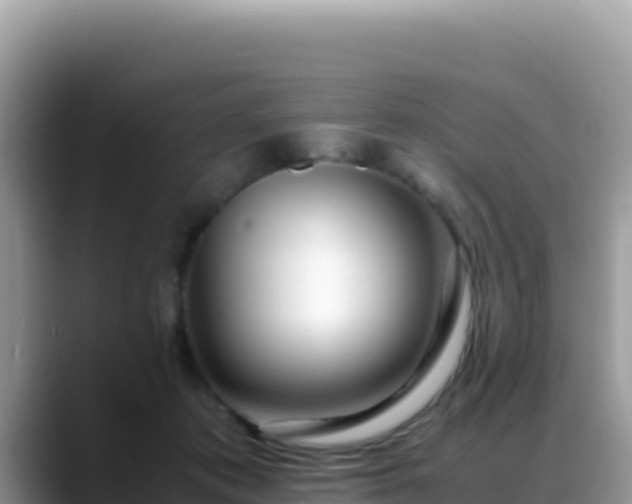 X0000088720413200706071624