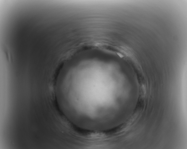 X0000088720415200706071624