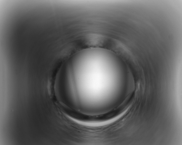 X0000088720416200706071624