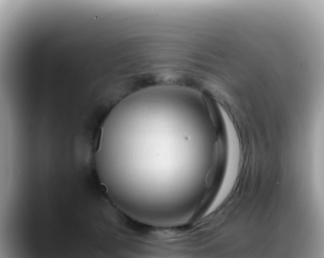 X0000088720417200706071624
