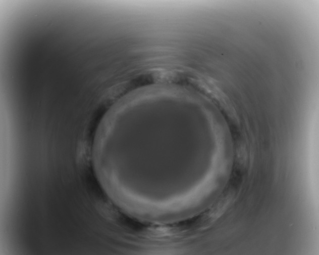 X0000088720419200706071624