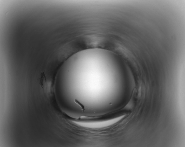 X0000088720420200706071624