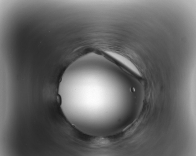X0000088720421200706071624