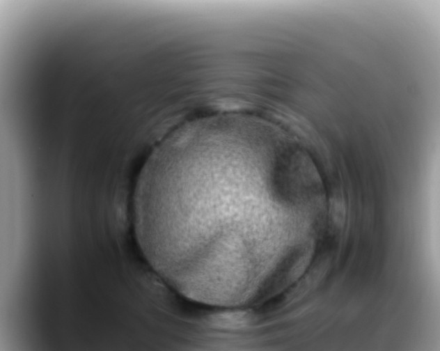 X0000088720422200706071623