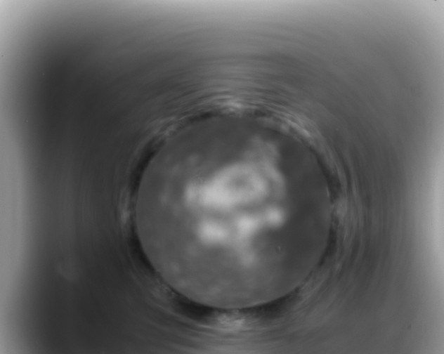 X0000088720423200706071623