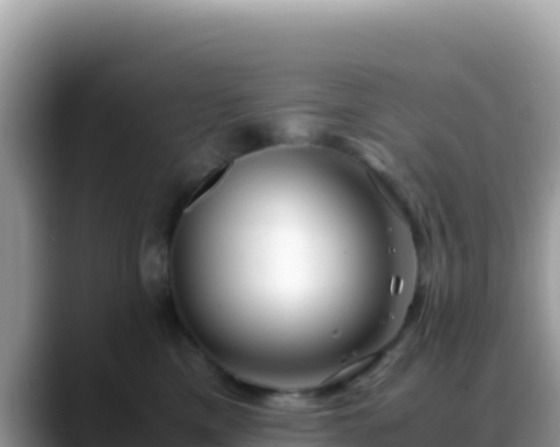X0000088720425200706071623
