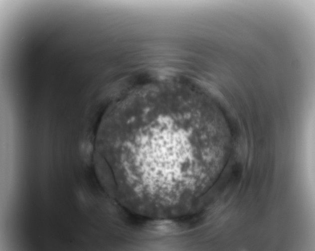 X0000088720427200706071623