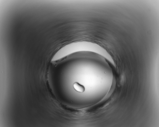 X0000088720428200706071623