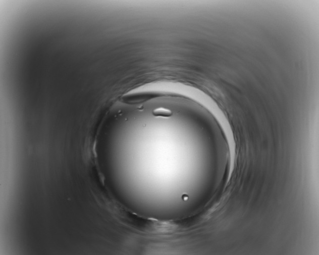 X0000088720429200706071623