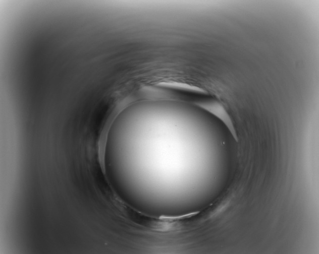 X0000088720432200706071623